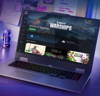 Lenovo Gaming LOQ 17,3' 165Hz i5-13450HX DDR5 32GB SSD 1000GB RTX 5050 Win11